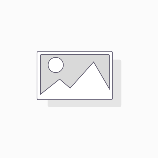 MSP Launchpad+